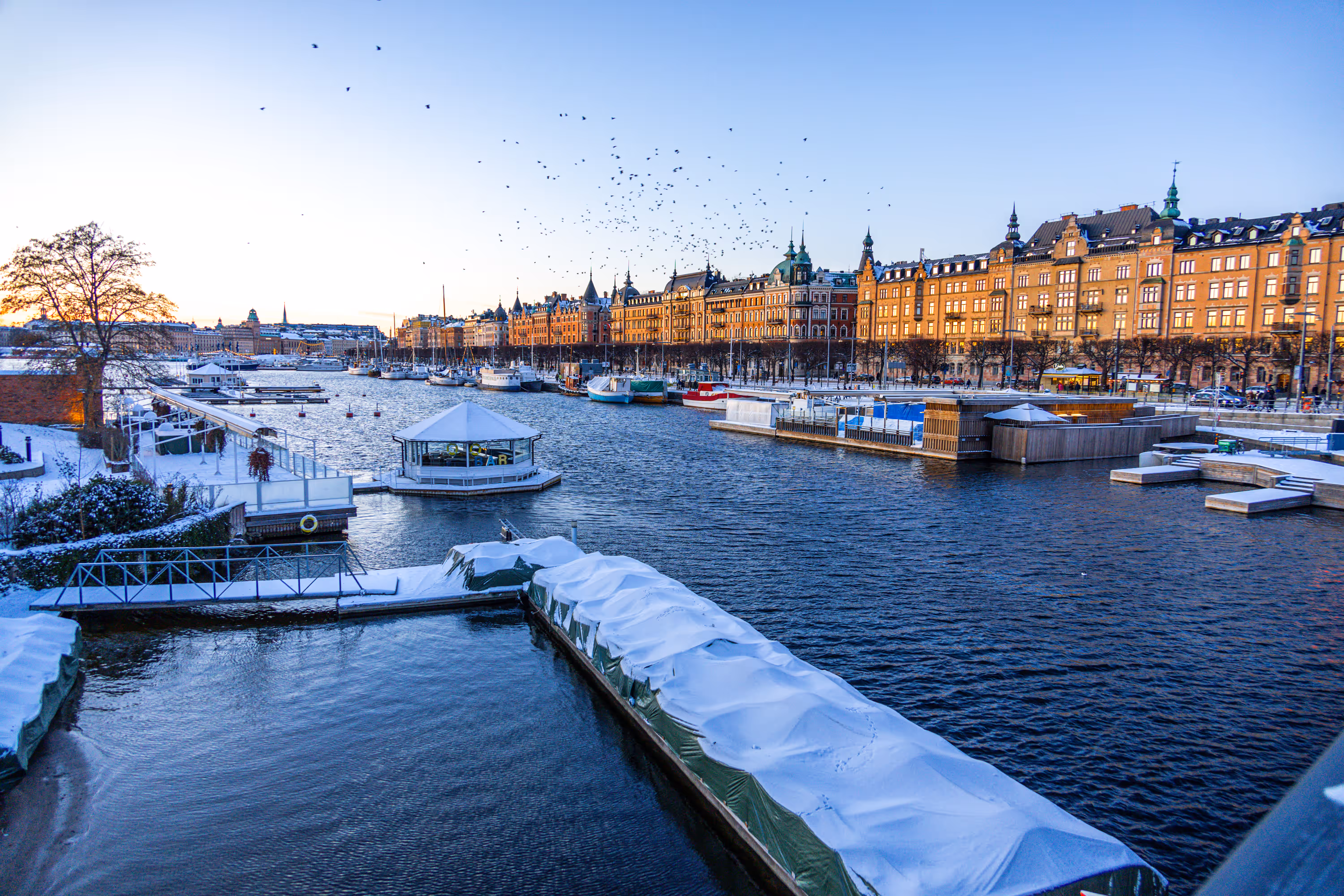 Image from Stockholm album